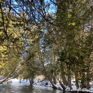 Meet your Posher, Sophia